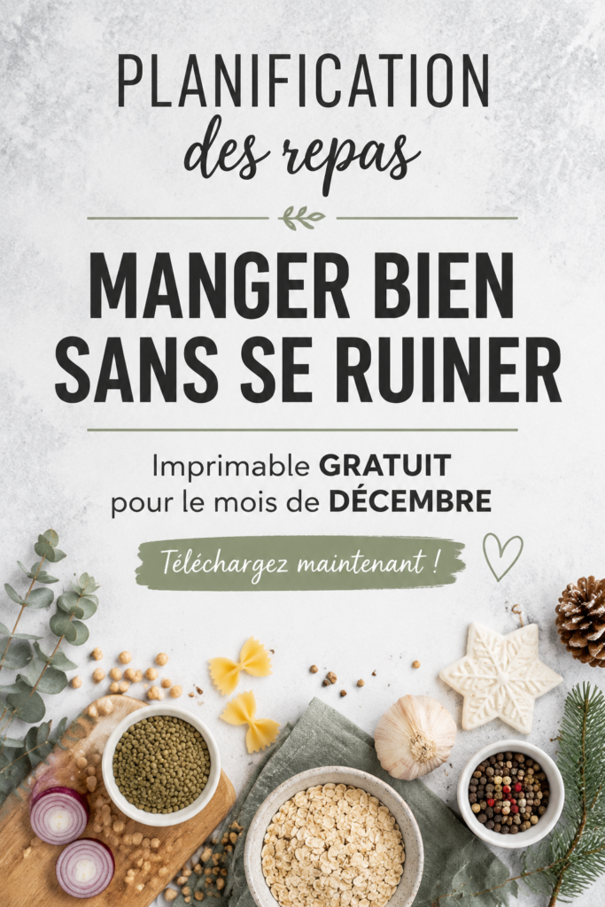 Plan de repas économique pour décembre avec des recettes saines et accessibles