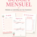 Modèle de budget mensuel imprimable sur un bureau - gestion financière simplifiée