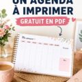 Un modèle d'agenda financier à imprimer en PDF, illustrant une organisation budgétaire efficace.